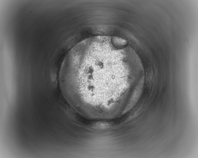 X0000103240749200809181544