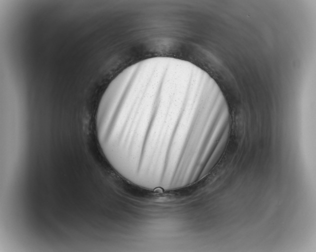 X0000103240750200809181544