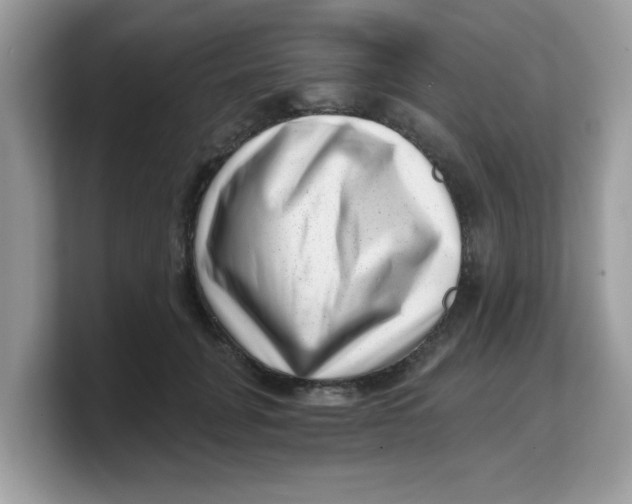 X0000103240751200809181544