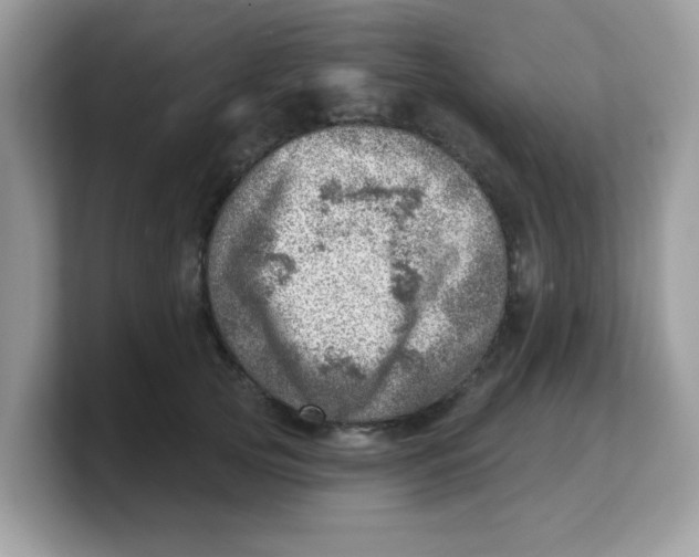 X0000103240753200809181544