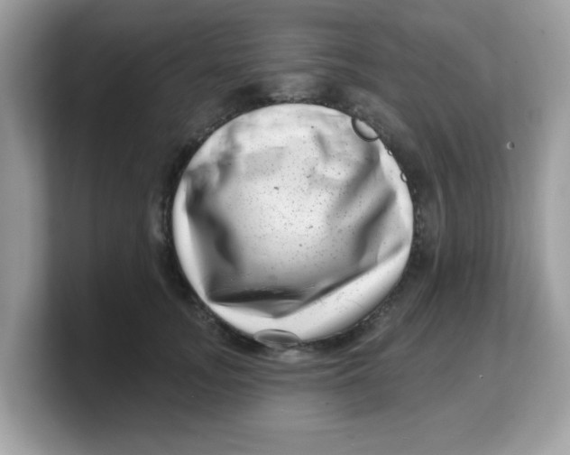 X0000103240755200809181544