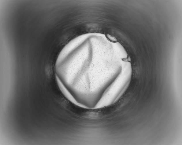 X0000103240756200809181544