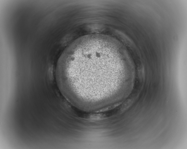 X0000103240757200809181544