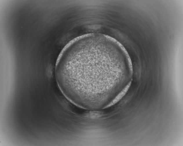 X0000103240758200809181544