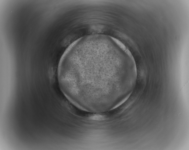 X0000103240759200809181544