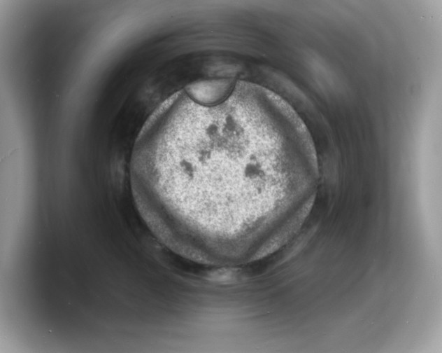 X0000103240761200809181544