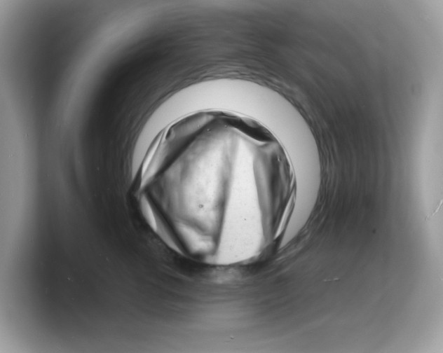 X0000103240762200809181544