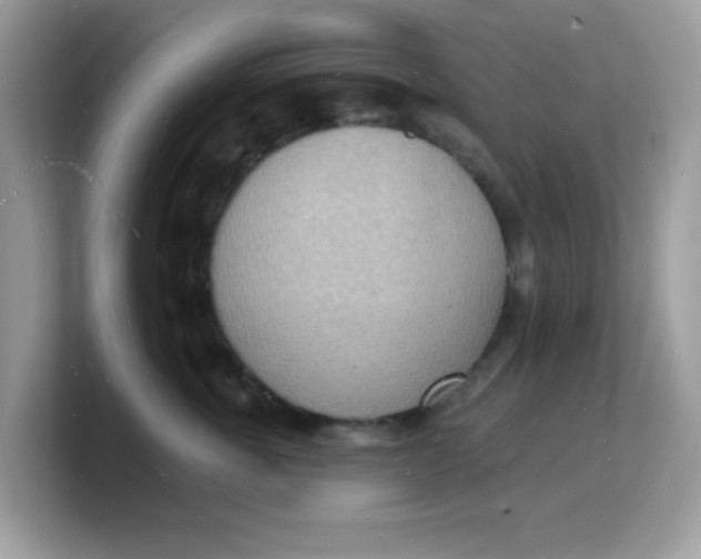 X0000103240763200809181544