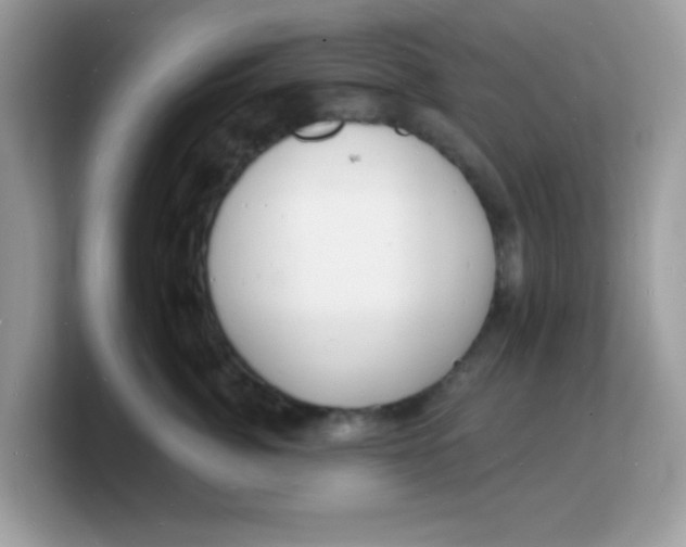 X0000103240764200809181544