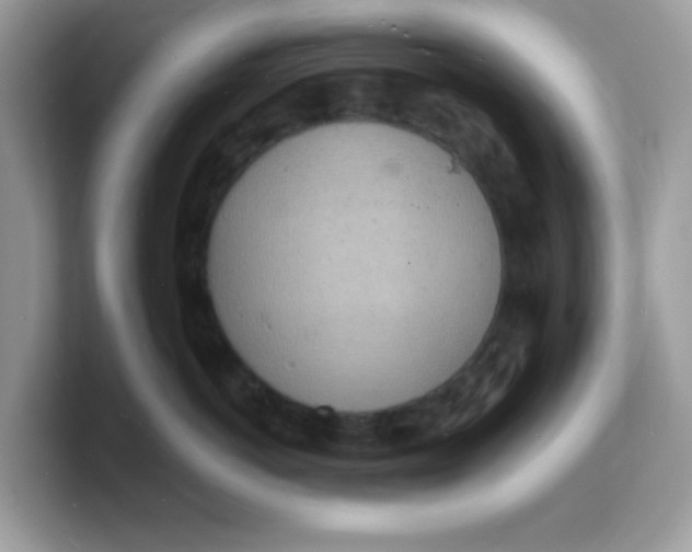 X0000103240766200809181544