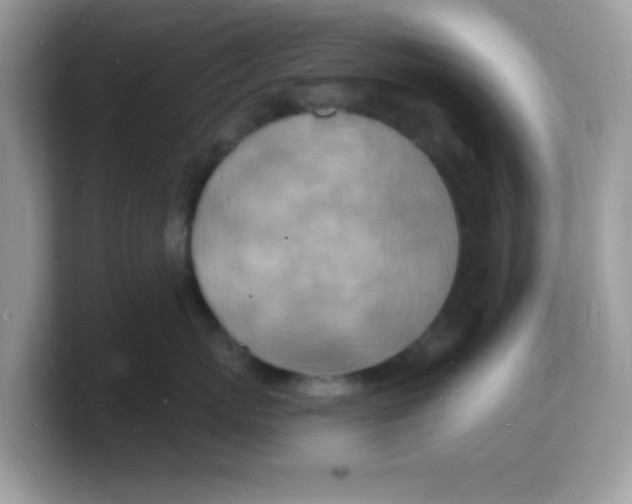 X0000103240767200809181544