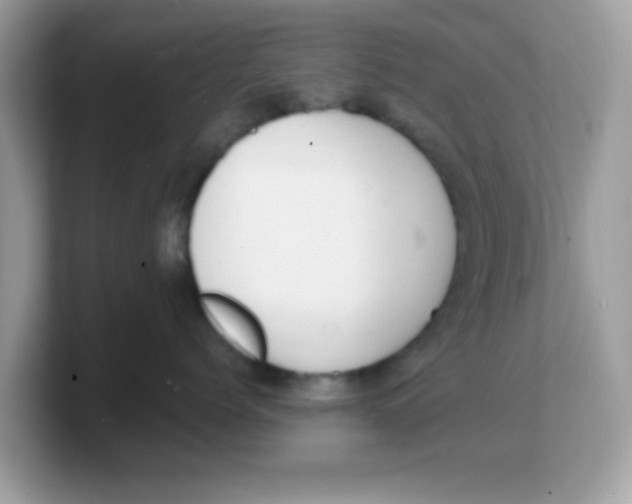 X0000103240768200809181544