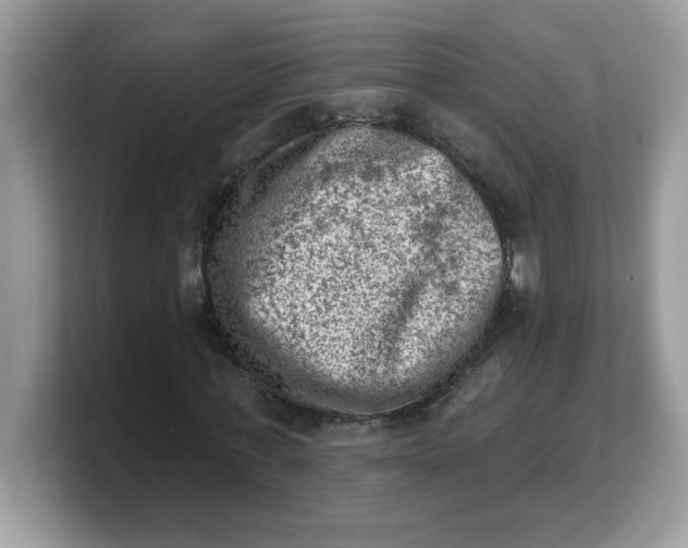 X0000103240771200809181543