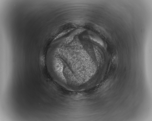 X0000103240772200809181543