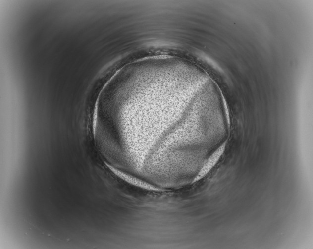 X0000103240775200809181543