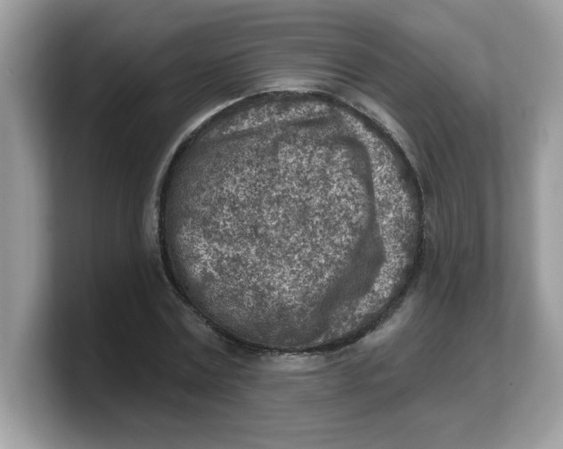 X0000103240779200809181543