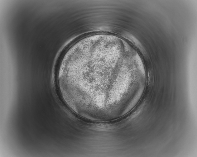 X0000103240780200809181543