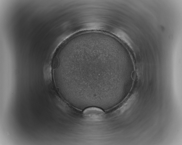 X0000103240781200809181543