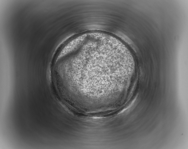 X0000103240782200809181543