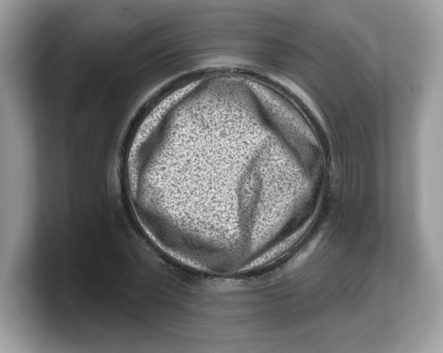 X0000103240783200809181543