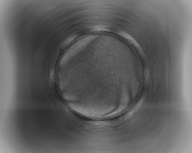 X0000103240785200809181543