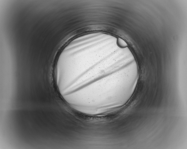 X0000103240786200809181543