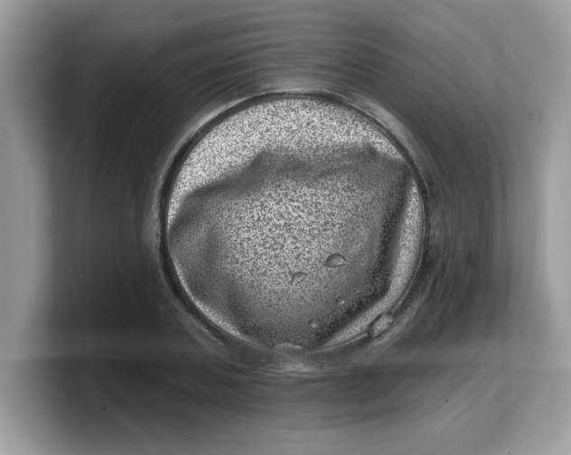 X0000103240787200809181543