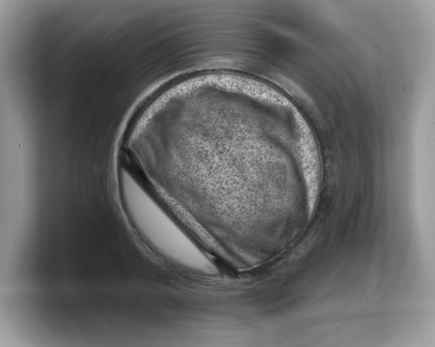 X0000103240792200809181543