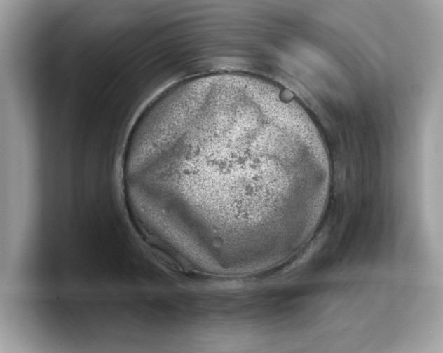 X0000103240798200809181543