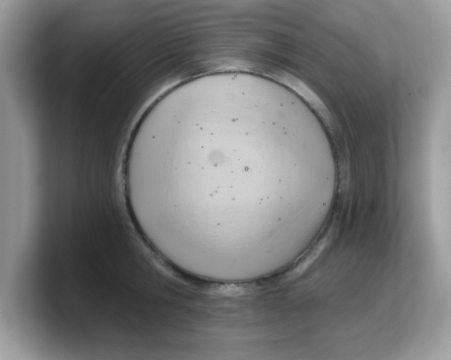 X0000103240806200809181543