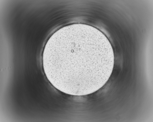 X0000103240807200809181543