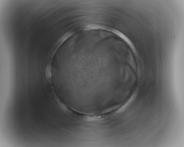 X0000103240809200809181543