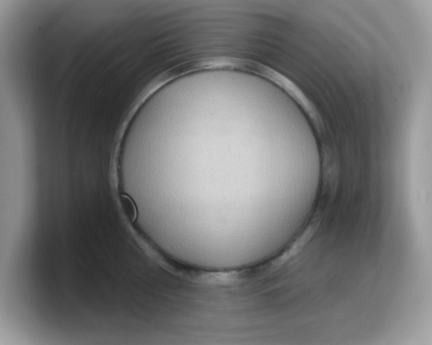 X0000103240810200809181543