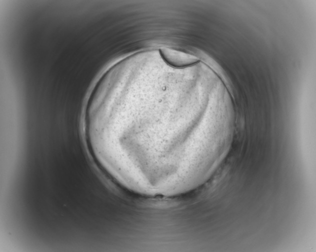 X0000103240811200809181543