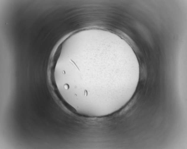 X0000103240812200809181543