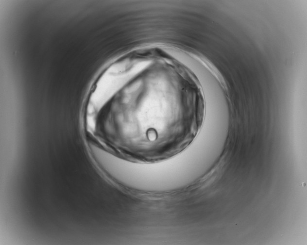 X0000103240813200809181543