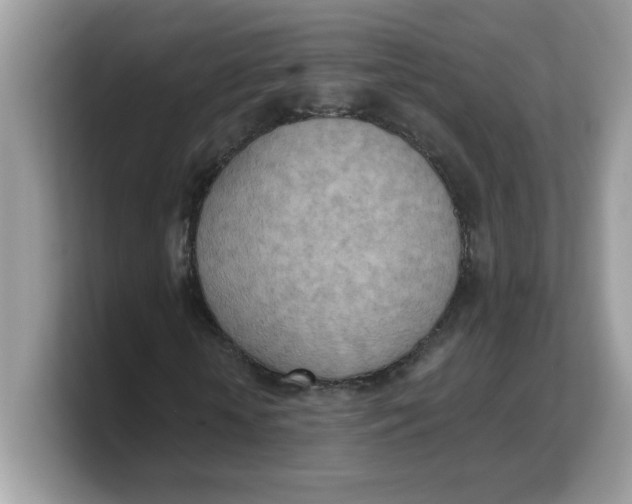 X0000103240818200809181542