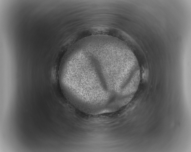 X0000103240819200809181542