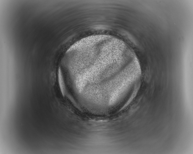 X0000103240821200809181542