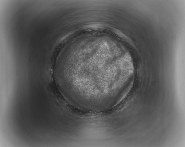 X0000103240822200809181542