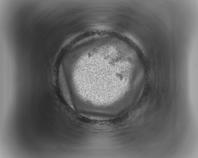 X0000103240823200809181542