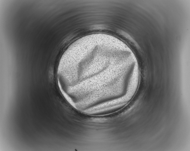 X0000103240825200809181542