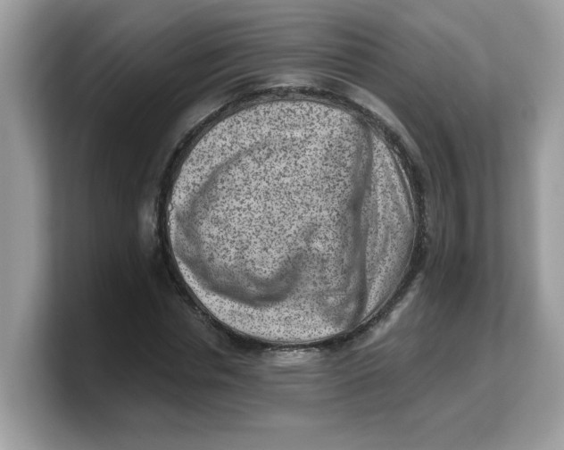 X0000103240826200809181542