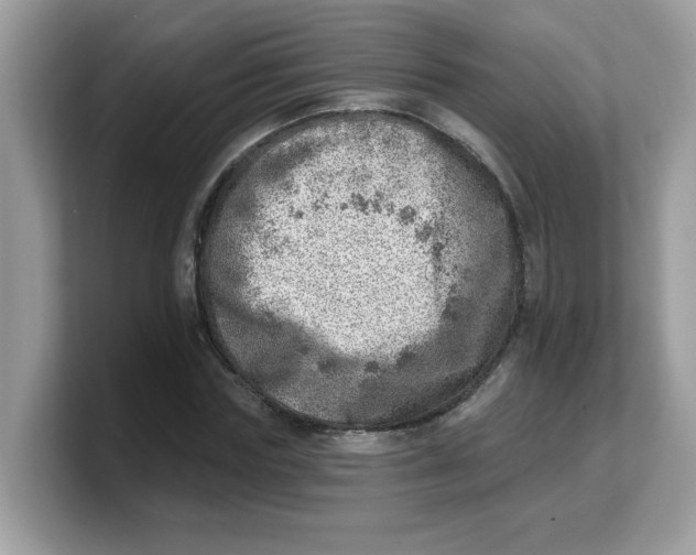 X0000103240827200809181542