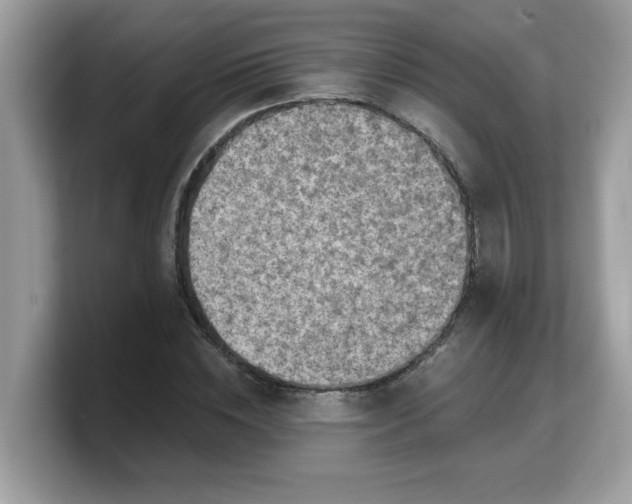 X0000103240828200809181542