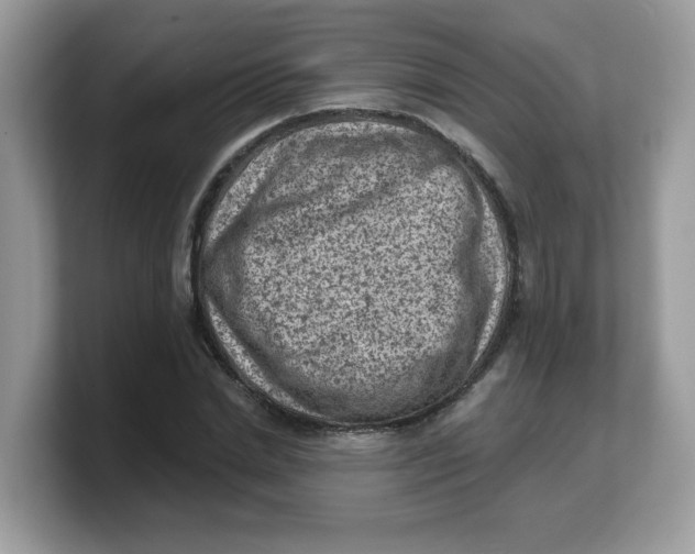 X0000103240830200809181542