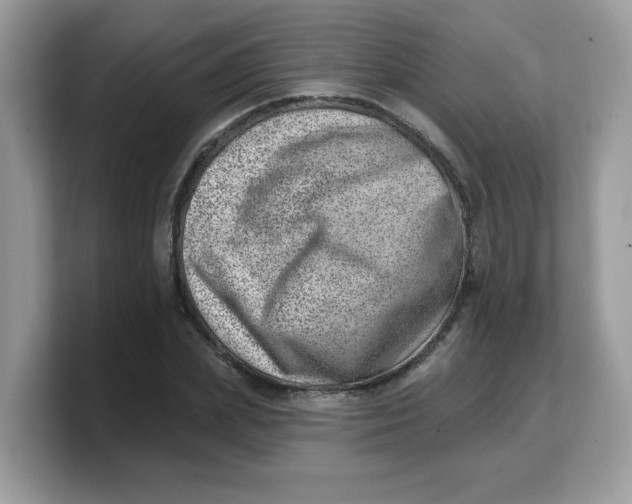 X0000103240831200809181542