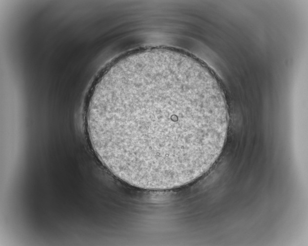 X0000103240832200809181542