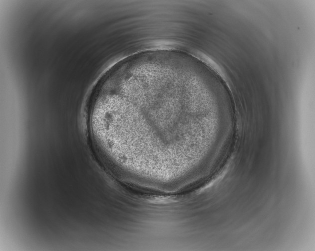 X0000103240835200809181542