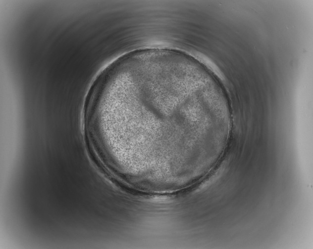 X0000103240839200809181542